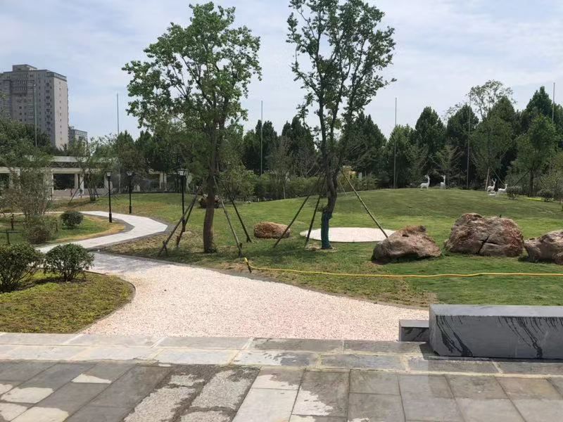 郑州市中原福塔站启明广场绿化景观工程